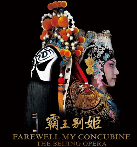 西布列塔尼大学 Design degree certificate